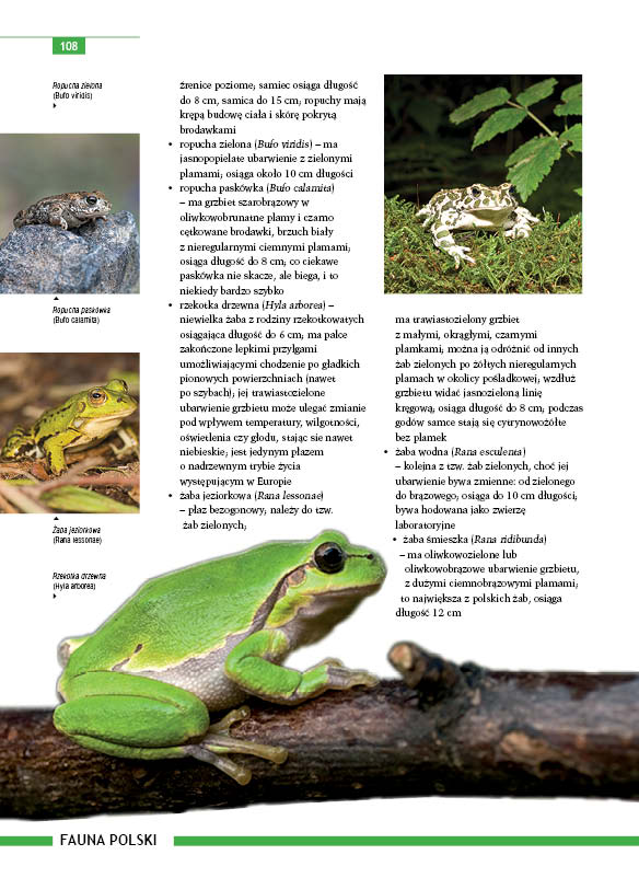 Encyklopedia Polski. Przyroda
