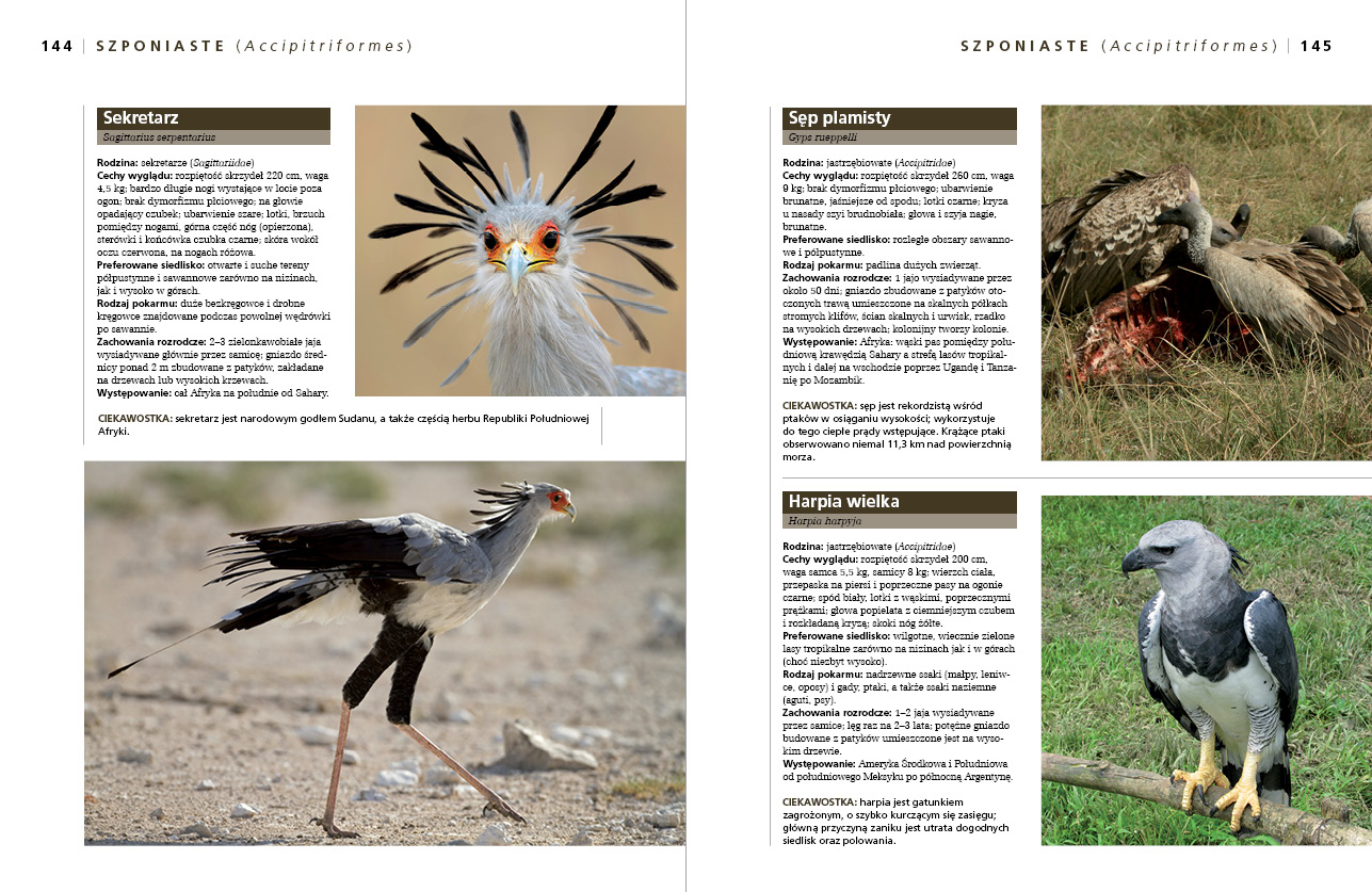 Ptaki. Atlas encyklopedyczny