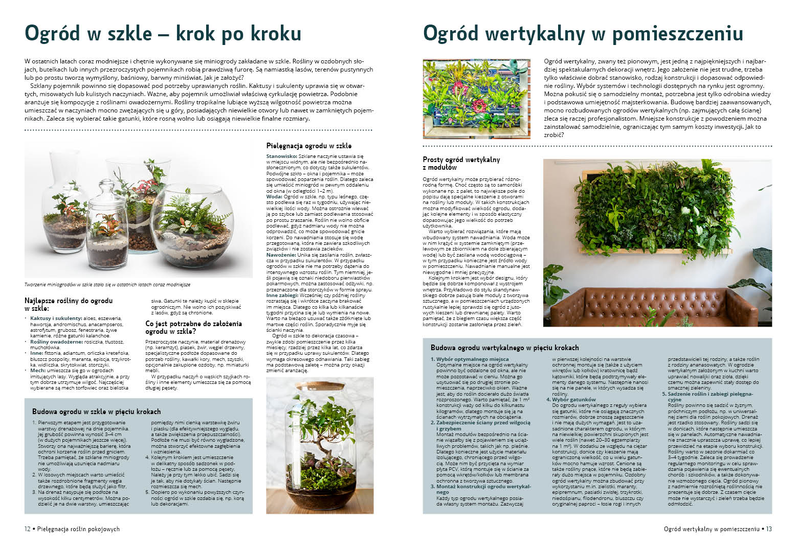 Pielęgnacja roślin pokojowych