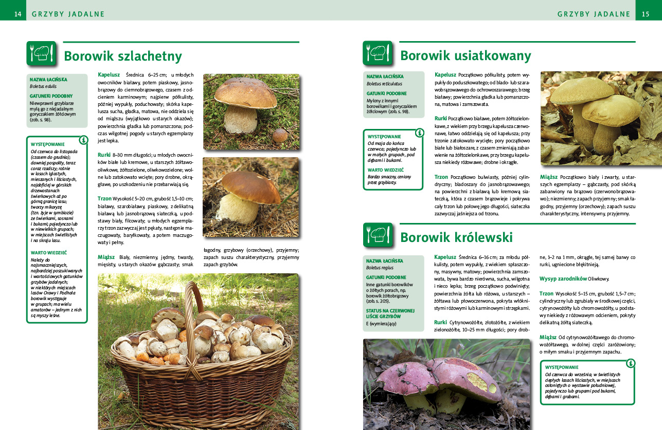 Ilustrowany leksykon grzybów w Polsce